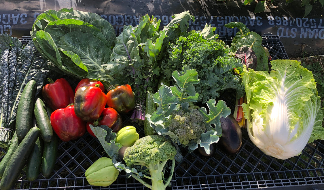 Seasonal Produce Packages (CSA)