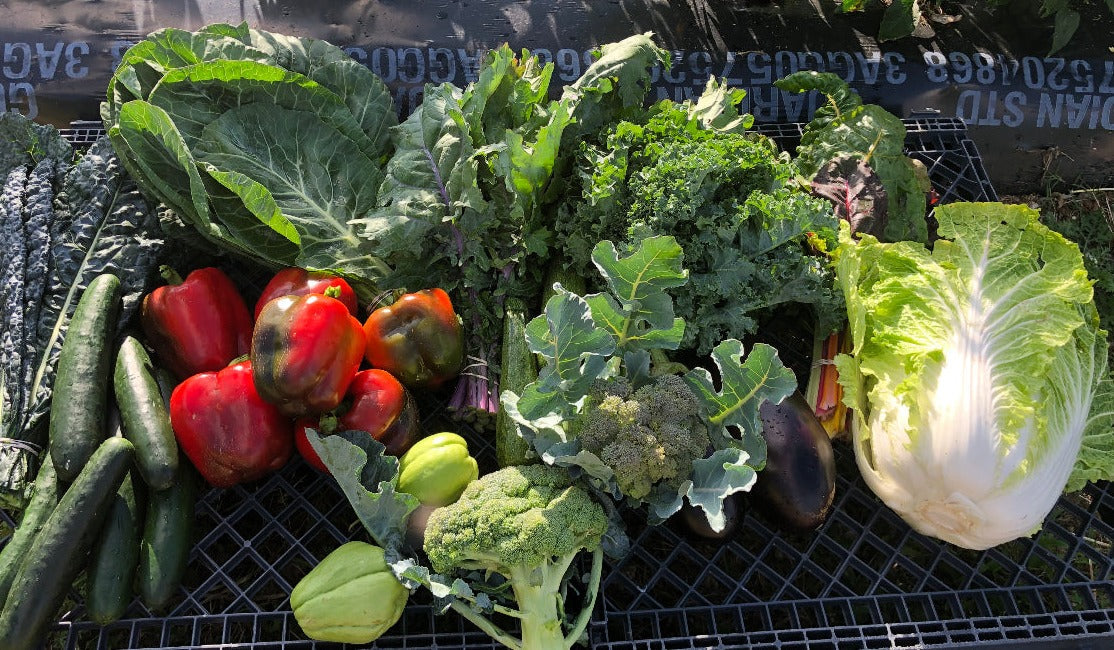 Seasonal Produce Share (CSA) - Local Pickup