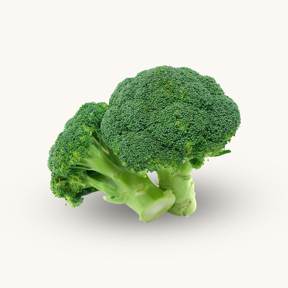 Belstar Broccoli