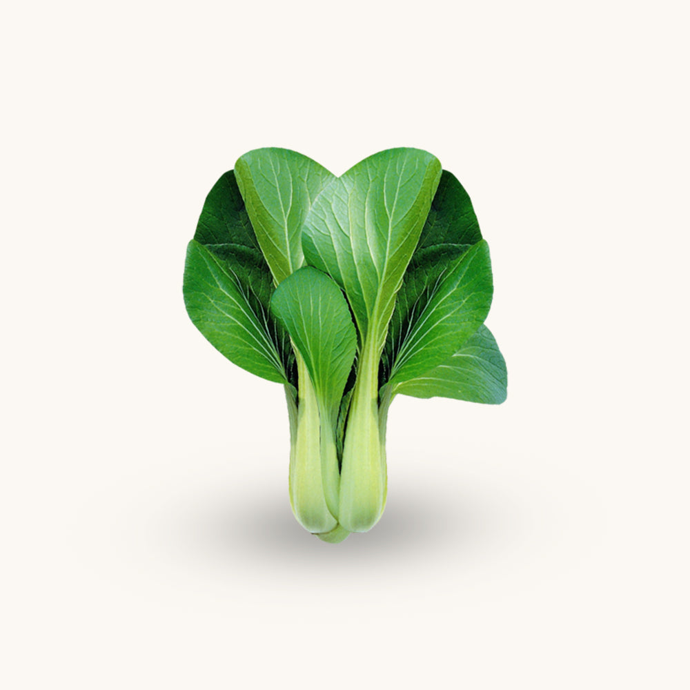 Bok Choy